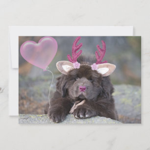 Cartes Pour Fêtes Annuelles Saint-Valentin de chiot cerf