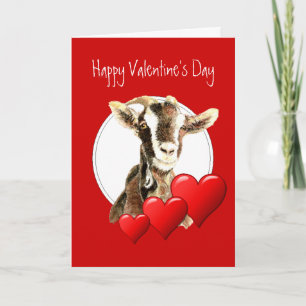 Cartes Pour Fêtes Annuelles Saint-Valentin drôle à la vieille chèvre, humour