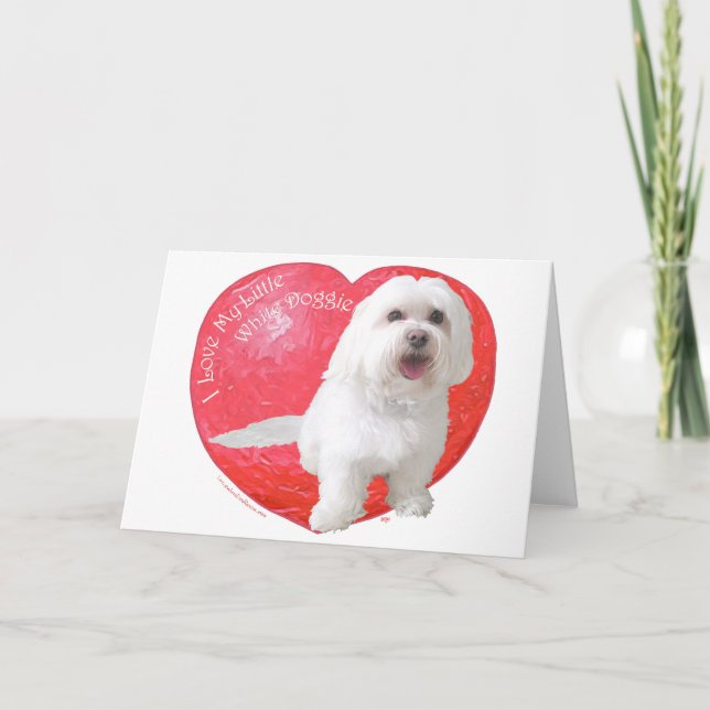 Cartes Pour Fêtes Annuelles Saint Valentin Havanais (Devant)