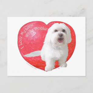 Cartes Pour Fêtes Annuelles Saint Valentin Havanais