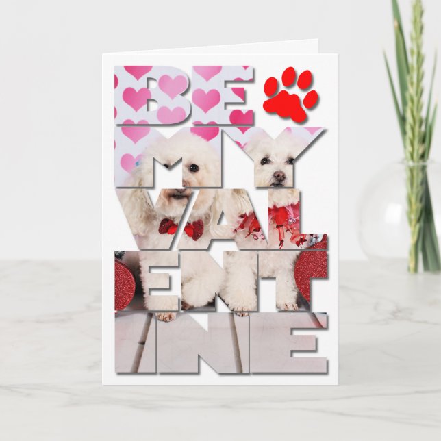 Cartes Pour Fêtes Annuelles Saint Valentin - Kirby & Shelby - Poodles (Devant)
