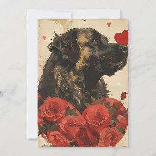 Cartes Pour Fêtes Annuelles Saint-Valentin Leonberger vintage 