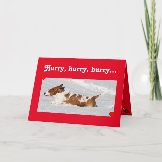 Cartes Pour Fêtes Annuelles Saint Valentin mignonne avec Basset Hound amusant  (Devant)
