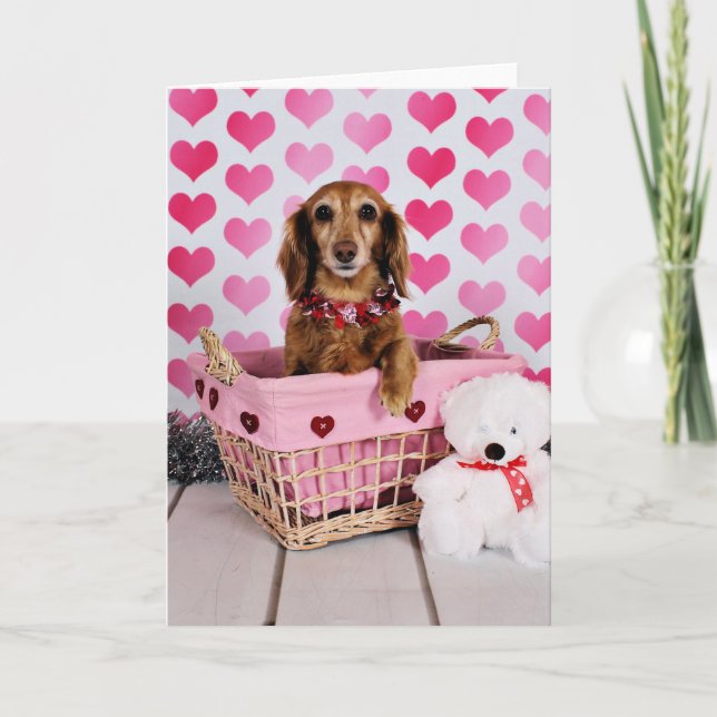 Cartes Pour Fêtes Annuelles Saint-Valentin - Mollie - teckel (Devant)