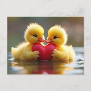 Cartes Pour Fêtes Annuelles Saint Valentin Poussins