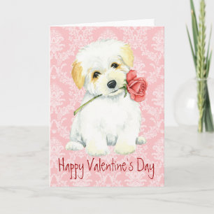 Cartes Pour Fêtes Annuelles Saint-Valentin Rose Coton de Tulear