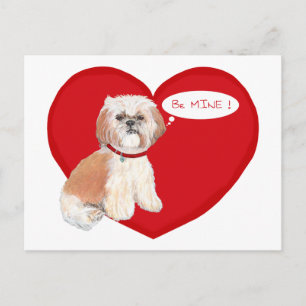 Cartes Pour Fêtes Annuelles Saint-Valentin Shih Tzu