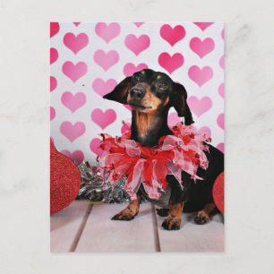 Cartes Pour Fêtes Annuelles Saint Valentin - Sophia - Dachshund