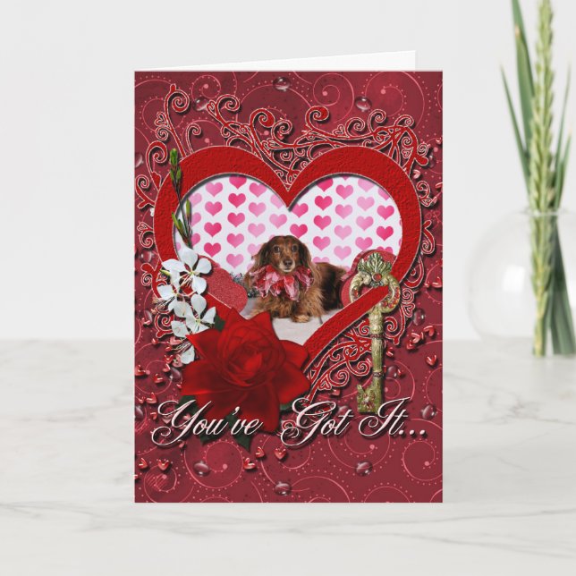 Cartes Pour Fêtes Annuelles Saint Valentin - Sophie - Dachshund (Devant)