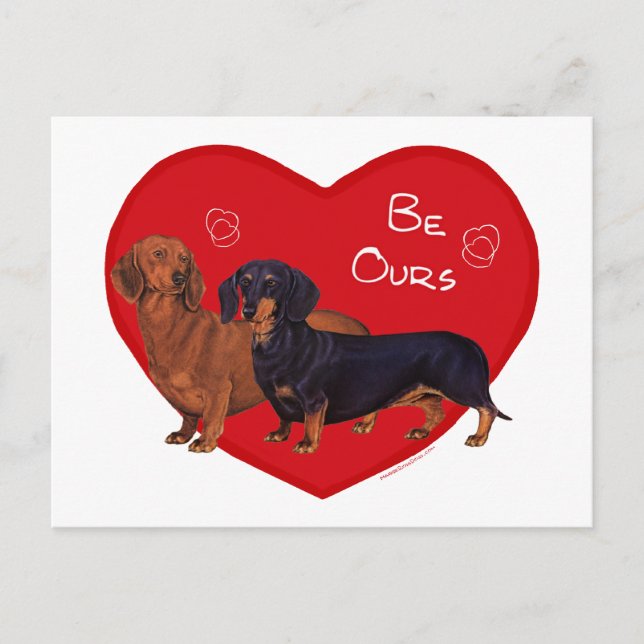 Cartes Pour Fêtes Annuelles Saint-Valentin teckel (Devant)