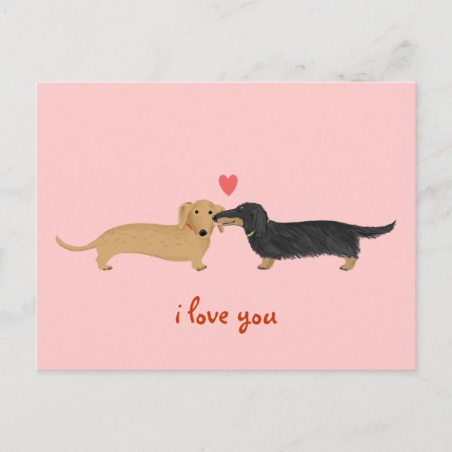 Cartes Pour Fêtes Annuelles Saint-Valentin teckel Bisou Mignons chiens viennoi (Devant)