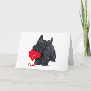 Cartes Pour Fêtes Annuelles Saint-Valentin Terrier Écossais