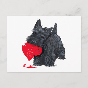 Cartes Pour Fêtes Annuelles Saint-Valentin Terrier Écossais