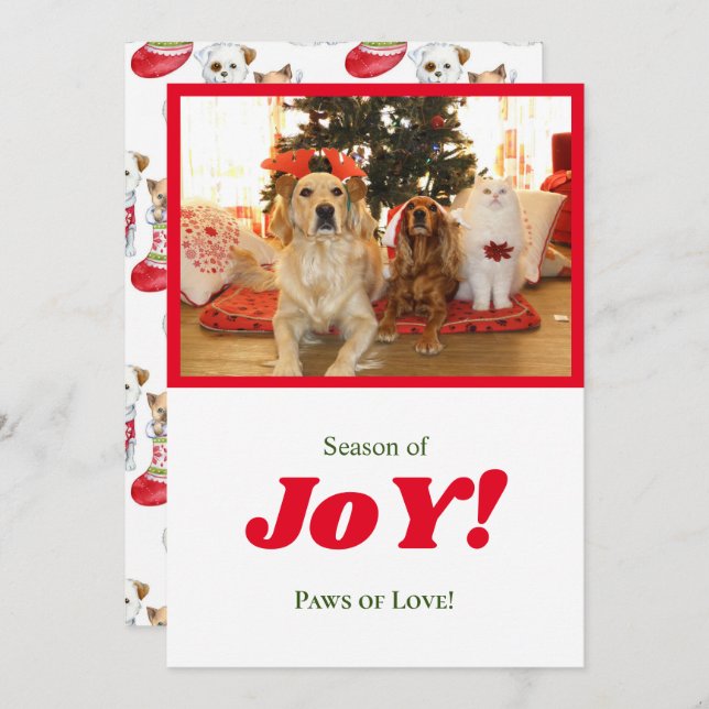 Cartes Pour Fêtes Annuelles Saison De Joy Xmas Chiens & Chat Animal Photo Cadr (Devant / Derrière)