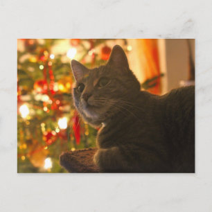 Cartes Pour Fêtes Annuelles Saison de vacances Tabby Cat Purr-fect