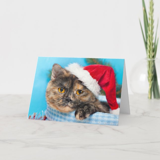 Cartes Pour Fêtes Annuelles Saison des vacances de Ronronnement-fect de chat (Devant)