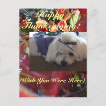 Saisons maltaises Design Feuille