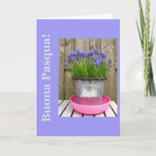 Cartes Pour Fêtes Annuelles Salon de pâques bleu commun hyacints - italien