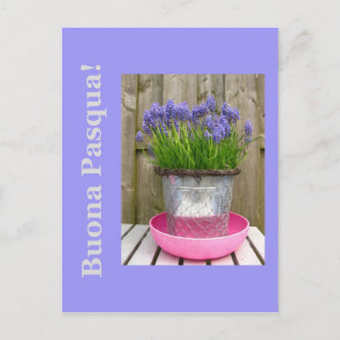 Cartes Pour Fêtes Annuelles Salon de pâques bleu commun hyacints - italien