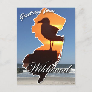 Cartes Pour Fêtes Annuelles Salut de Wildwood