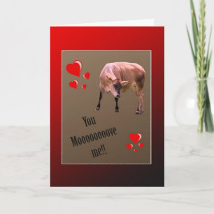 Cartes Pour Fêtes Annuelles Salutation de la Vache Valentine