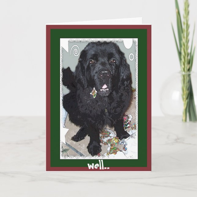 Cartes Pour Fêtes Annuelles Salutation de Noël~Définir Naughty (Devant)