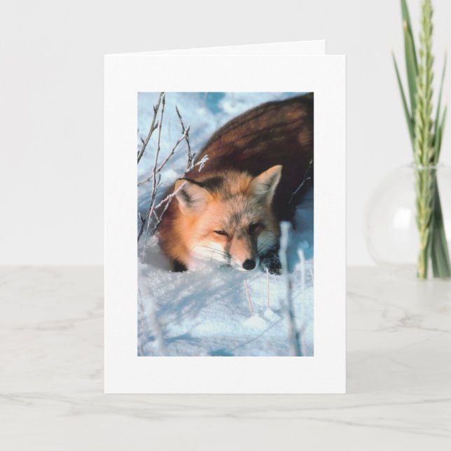 Cartes Pour Fêtes Annuelles Salutation de Noël personnalisée Renard des neiges (Devant)