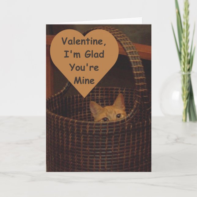 Cartes Pour Fêtes Annuelles Salutation de Valentine de chat de cas désespéré (Devant)