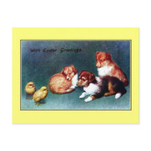 Salutations 1906 de Pâques de cru ; chiots de