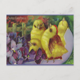 Cartes Pour Fêtes Annuelles Salutations aux poussins de Pâques
