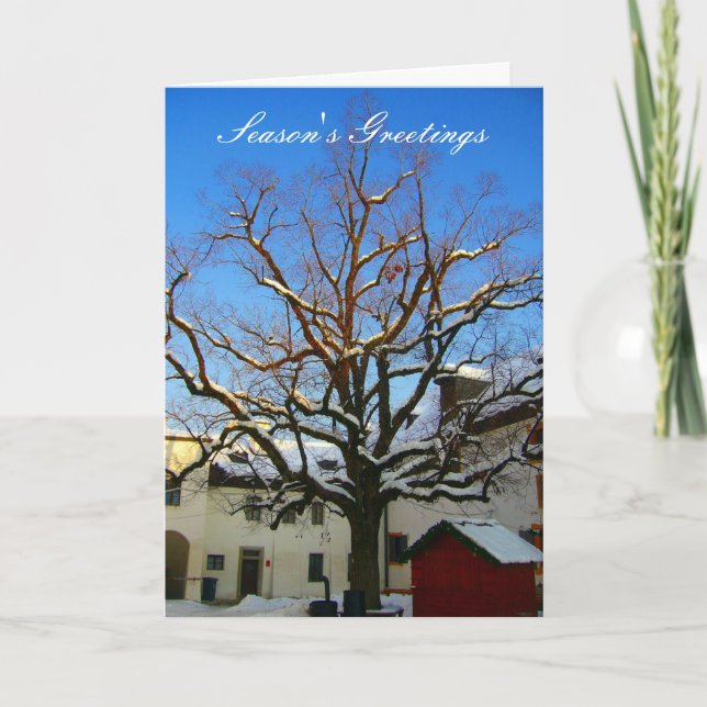 Cartes Pour Fêtes Annuelles salutations d'arbres enneigés (Devant)