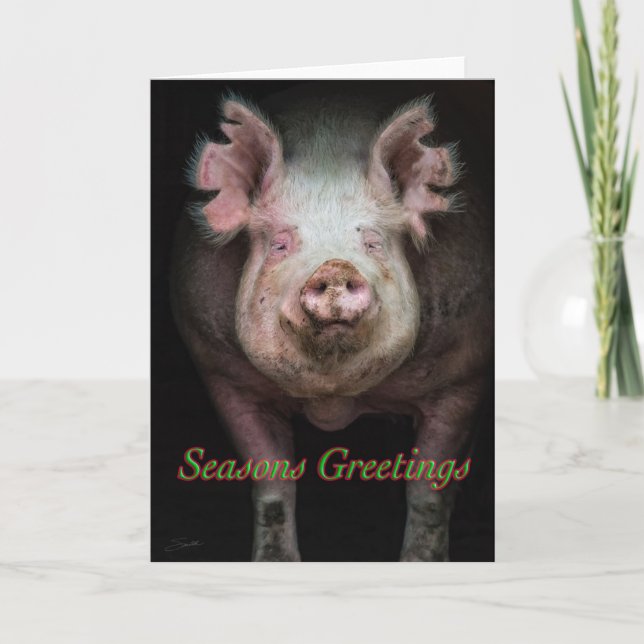 Cartes Pour Fêtes Annuelles Salutations de cochon (Devant)