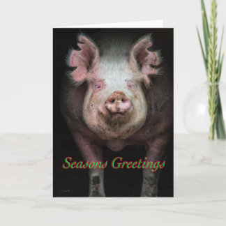 Cartes Pour Fêtes Annuelles Salutations de cochon