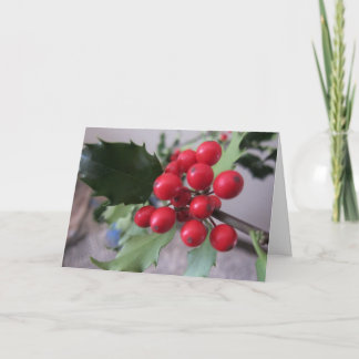 Cartes Pour Fêtes Annuelles Salutations de Noël