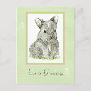 Cartes Pour Fêtes Annuelles Salutations de Pâques Gris Baby Lapin Lapin Lapin