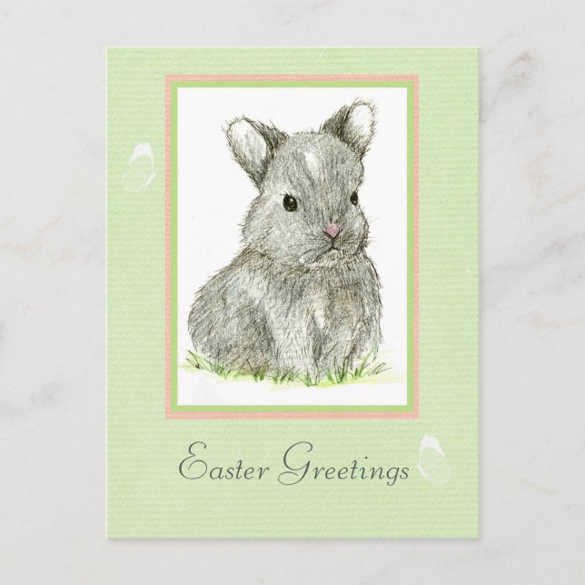 Cartes Pour Fêtes Annuelles Salutations de Pâques Gris Baby Lapin Lapin Lapin (Devant)