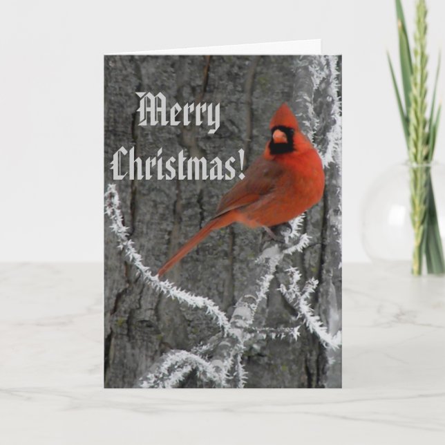 Cartes Pour Fêtes Annuelles Salutations de solstice d'hiver (Devant)