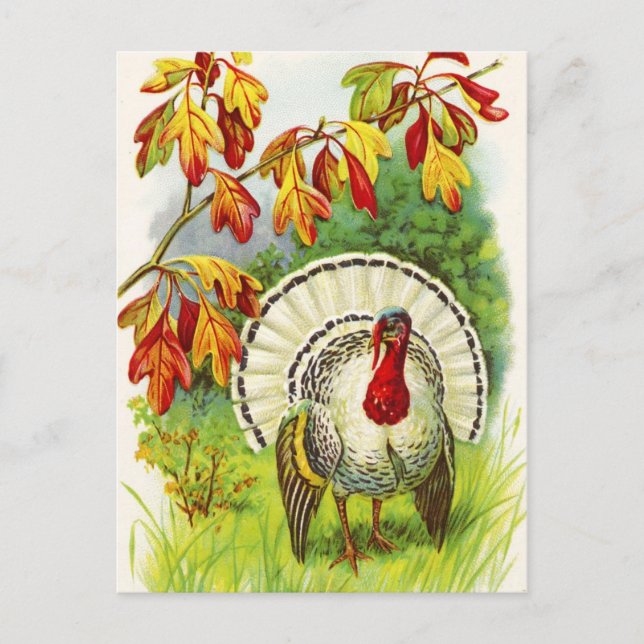 Cartes Pour Fêtes Annuelles Salutations de Thanksgiving (Devant)