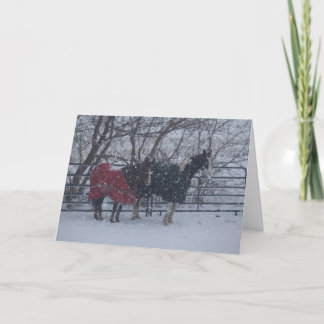 Cartes Pour Fêtes Annuelles Salutations de vacances