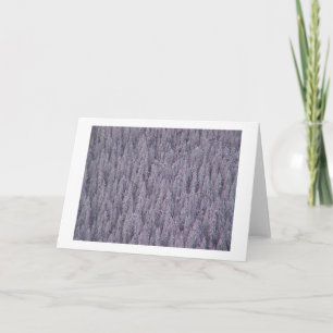 Cartes Pour Fêtes Annuelles Salutations d'hiver