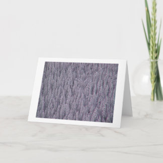 Cartes Pour Fêtes Annuelles Salutations d'hiver