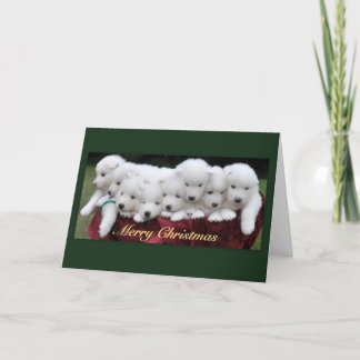 Cartes Pour Fêtes Annuelles Samoyed Christmas