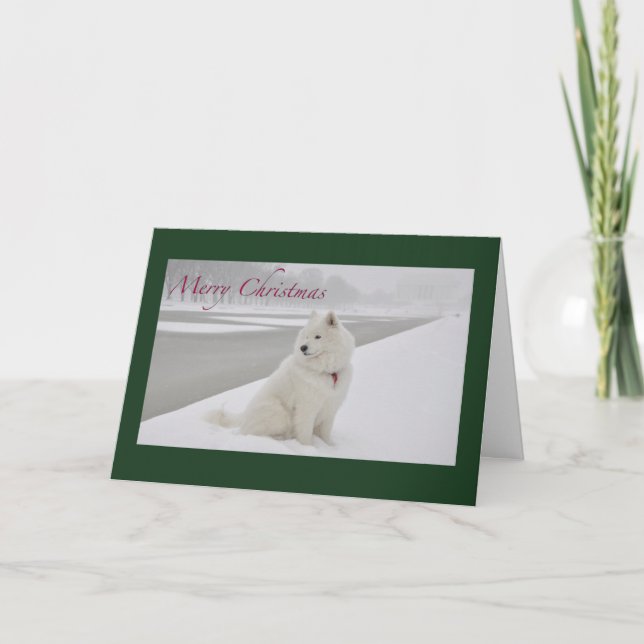 Cartes Pour Fêtes Annuelles Samoyed Christmas (Mémorial de Lincoln) (Devant)