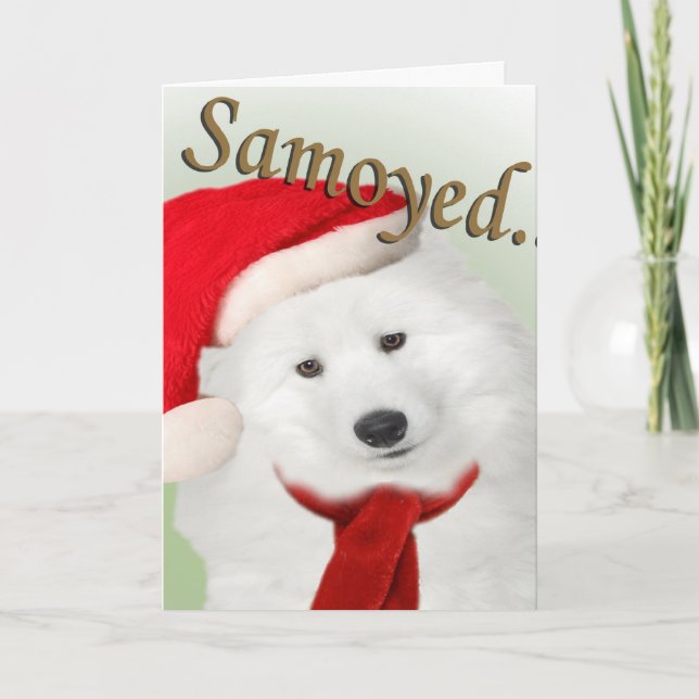 Cartes Pour Fêtes Annuelles Samoyed Christmas Portrait Card (Devant)