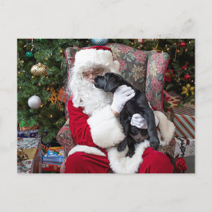 Cartes Pour Fêtes Annuelles Santa Claus Black Labrador Christmas jolie chiot