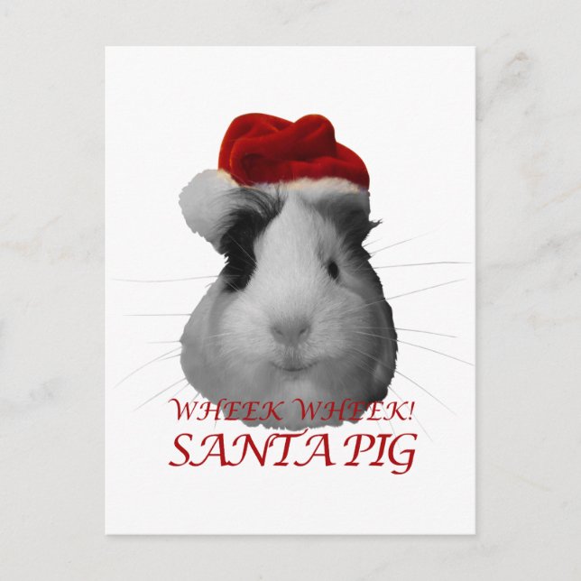 Cartes Pour Fêtes Annuelles Santa Claus Cochon Guinée Cochon Noël (Devant)