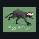 Cartes Pour Fêtes Annuelles Santa Claus Coon<br><div class="desc">La couleur de l'arrière - plan peut être changée : PERSONNALISER IT - EDIT - ARRIÈRE - PLAN père noël petit aide est un adorable waschbär avec casquette xmas rouge</div>