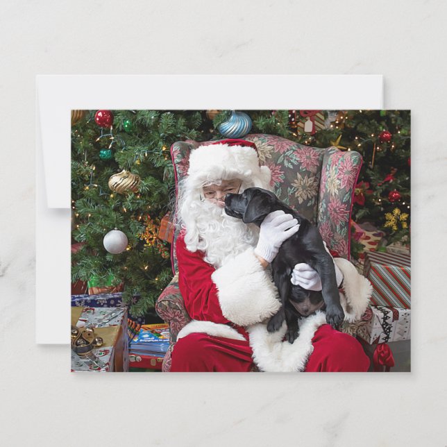 Cartes Pour Fêtes Annuelles Santa Claus Cute Puppy Black Labrador Noël (Devant)