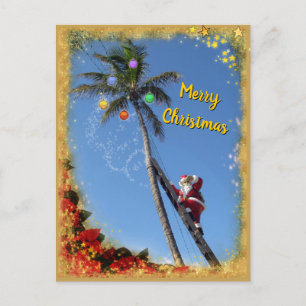 Cartes Pour Fêtes Annuelles Santa decorating Palm Tree