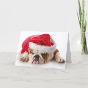 Cartes Pour Fêtes Annuelles Santa Dog